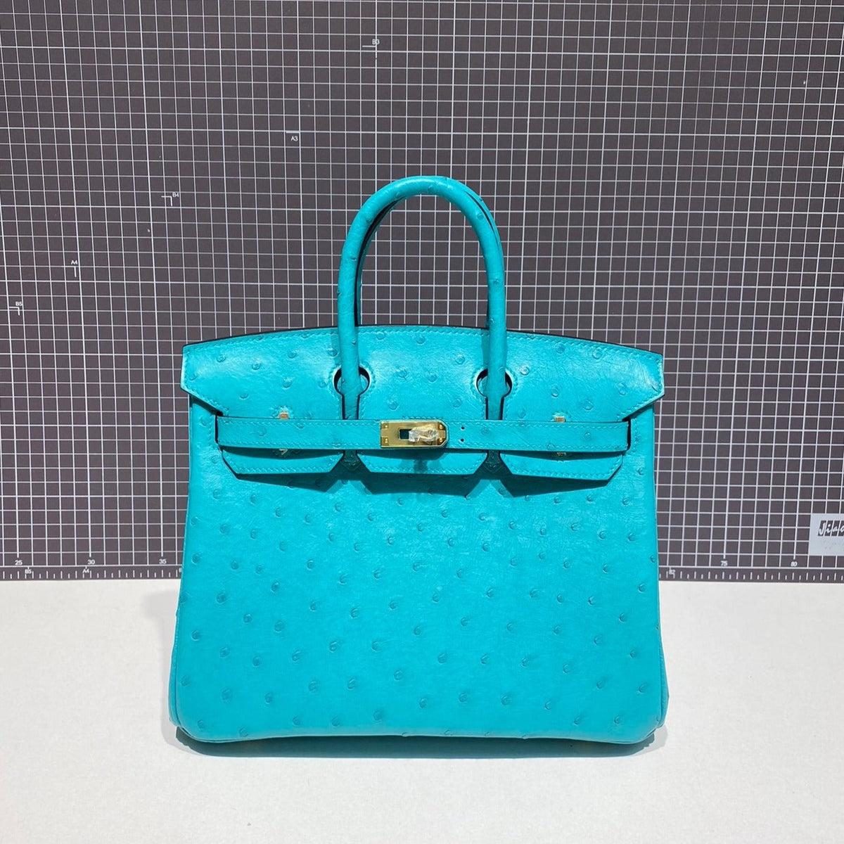 H*M B*RKIN 30CM CLOUD BLUE OSTRICH LEATHER GOLD HARDWARE
