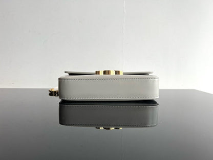 CLASSIC TRIOMPHE 20 GREY CALFSKIN