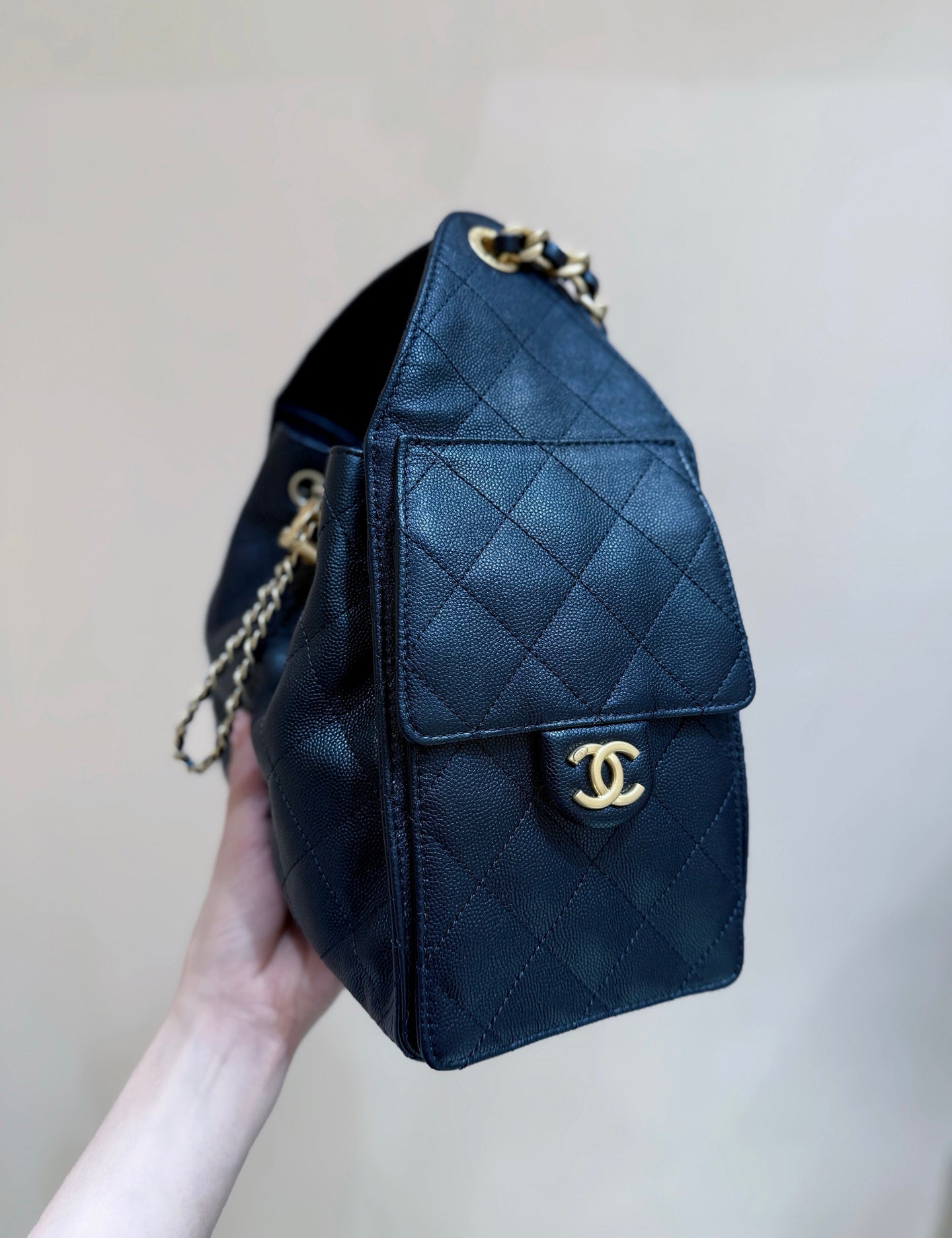 CC 25S Hobo Bag 25cm Black Calfskin