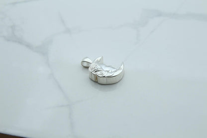 Moon Woman Silhouette Urn Necklace – 925 Sterling Silver Memorial Ash Pendant (16.5 mm)