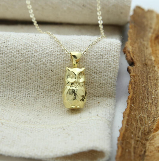 Night Guardian Owl Urn Necklace – 925 Sterling Silver Ash Pendant with Optional Engraving (17 mm)