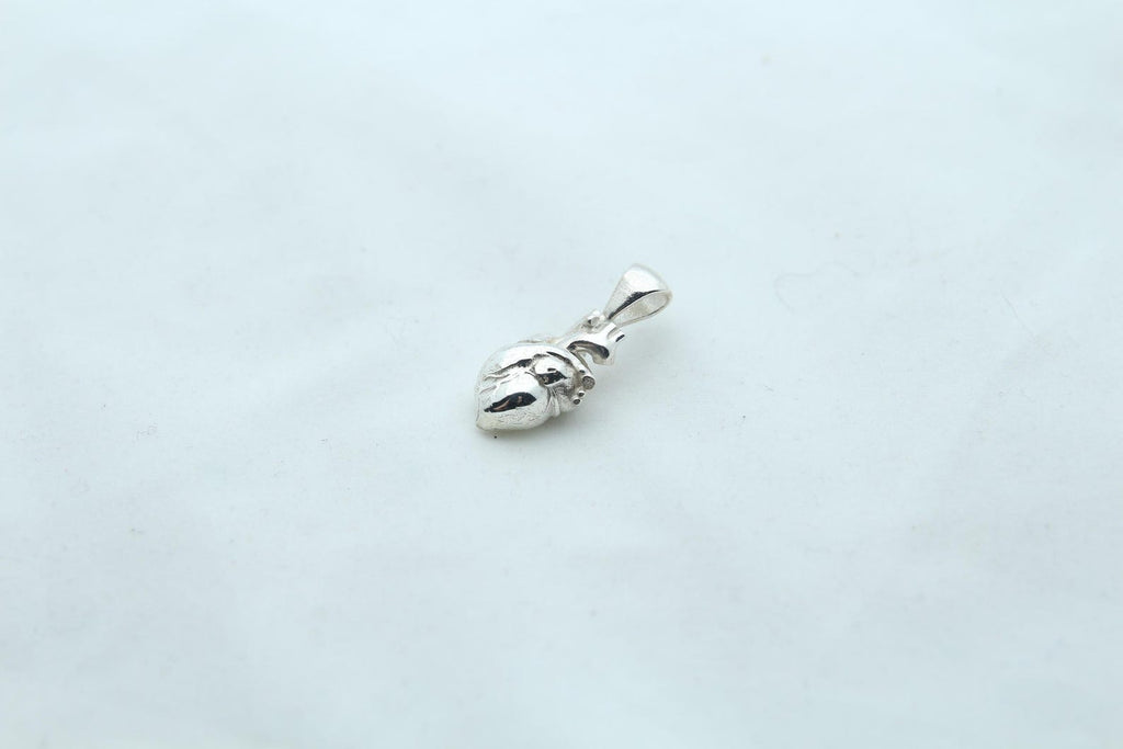 Anatomic Heart Memorial Urn Necklace – 925 Sterling Silver Anatomical Ash Pendant with (15 mm)