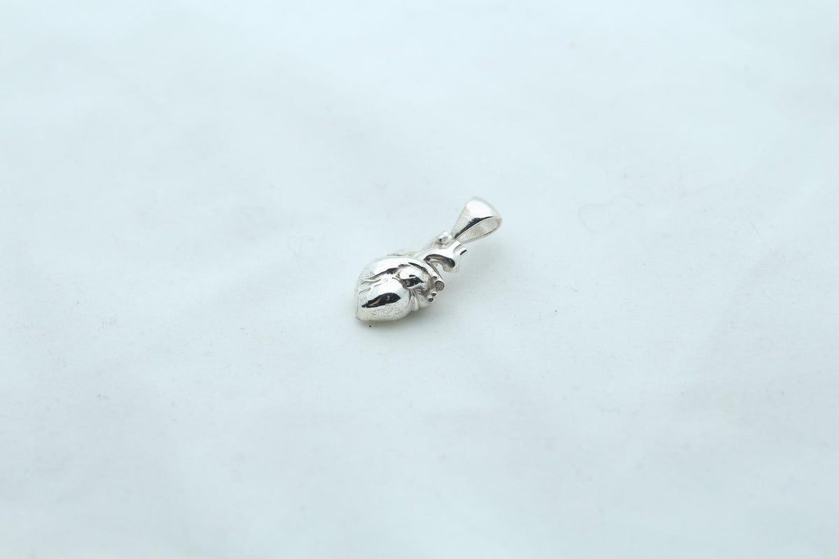 Anatomic Heart Memorial Urn Necklace – 925 Sterling Silver Anatomical Ash Pendant with (15 mm)