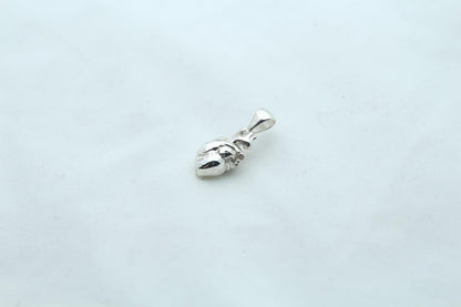 Anatomic Heart Memorial Urn Necklace – 925 Sterling Silver Anatomical Ash Pendant with (15 mm)
