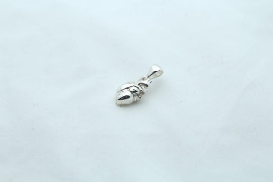 Anatomic Heart Memorial Urn Necklace – 925 Sterling Silver Anatomical Ash Pendant with (15 mm)