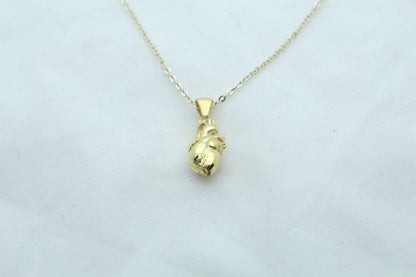 Eternal Pulse Urn Necklace – 925 Sterling Silver Anatomical Heart Ash Pendant with  (15 mm)