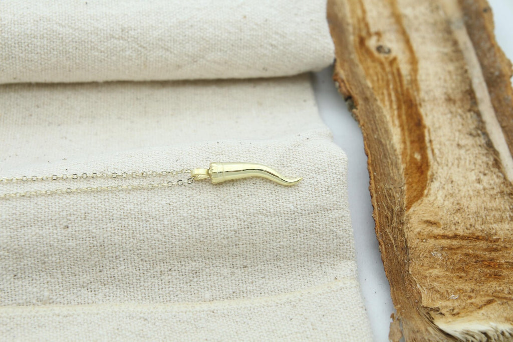 Cornicello Spirit Urn Necklace – 925 Sterling Silver Italian Horn Ash Pendant (26 mm)