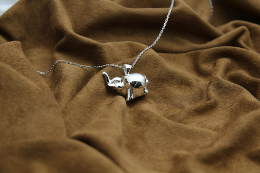 Elephant Soul Memorial Urn Necklace – 925 Sterling Silver Ash Pendant with Optional Engraving (20 mm)