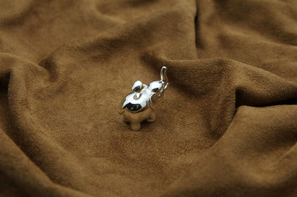 Elephant Soul Memorial Urn Necklace – 925 Sterling Silver Ash Pendant with Optional Engraving (20 mm)