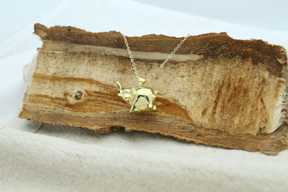 Gentle Elephant Tribute Urn Necklace – 925 Sterling Silver Memorial Ash Pendant with Optional Engraving (20 mm)