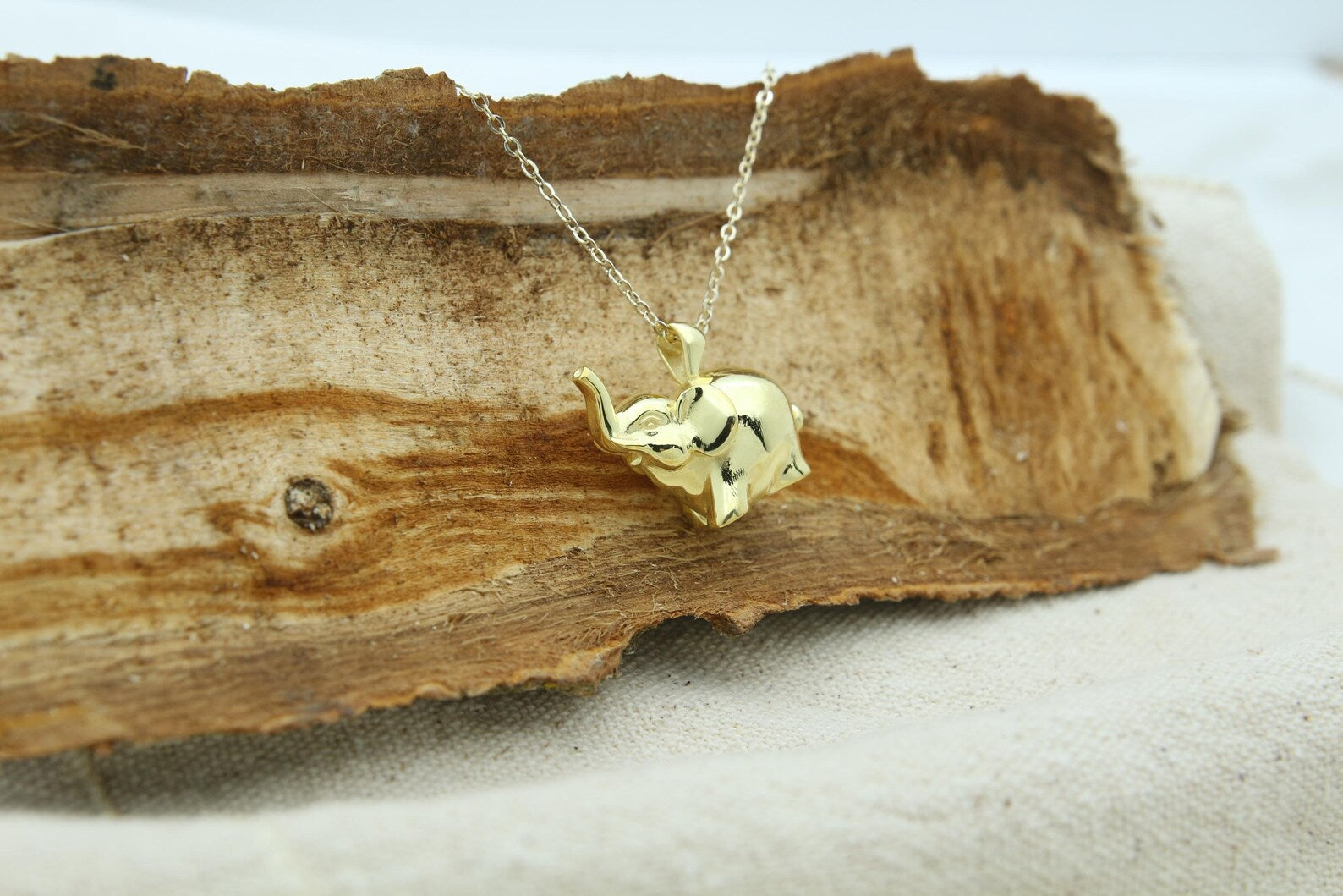 Gentle Elephant Tribute Urn Necklace – 925 Sterling Silver Memorial Ash Pendant with Optional Engraving (20 mm)