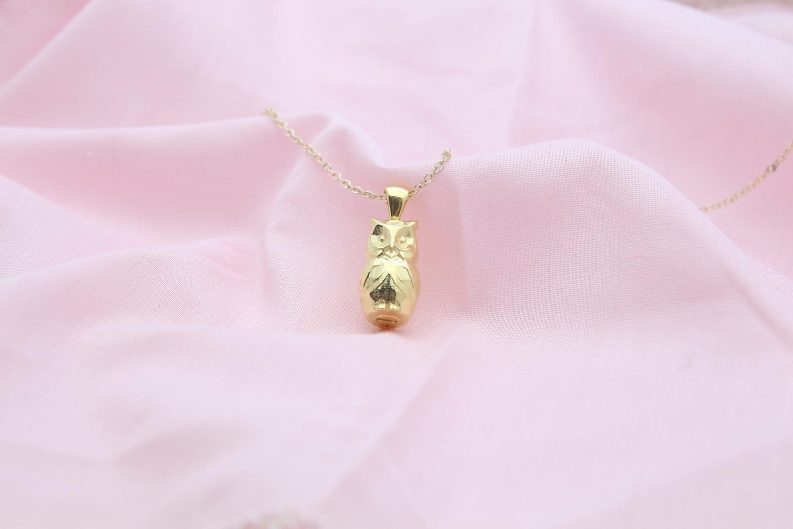 Night Guardian Owl Urn Necklace – 925 Sterling Silver Ash Pendant with Optional Engraving (17 mm)