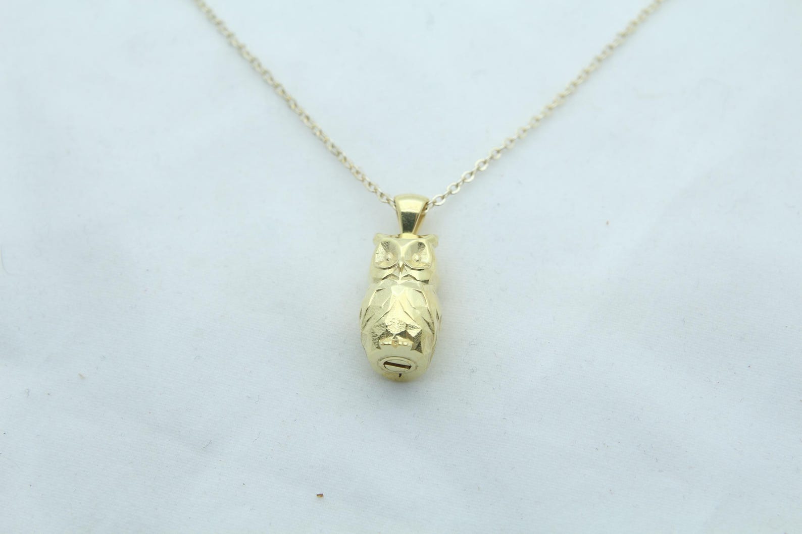Night Guardian Owl Urn Necklace – 925 Sterling Silver Ash Pendant with Optional Engraving (17 mm)