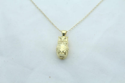 Night Guardian Owl Urn Necklace – 925 Sterling Silver Ash Pendant with Optional Engraving (17 mm)