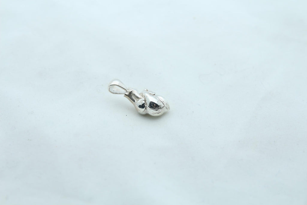 Anatomic Heart Memorial Urn Necklace – 925 Sterling Silver Anatomical Ash Pendant with (15 mm)