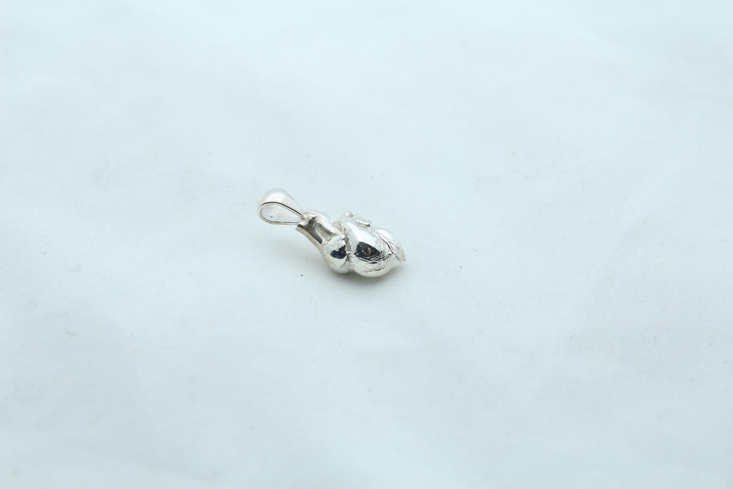 Anatomic Heart Memorial Urn Necklace – 925 Sterling Silver Anatomical Ash Pendant with (15 mm)