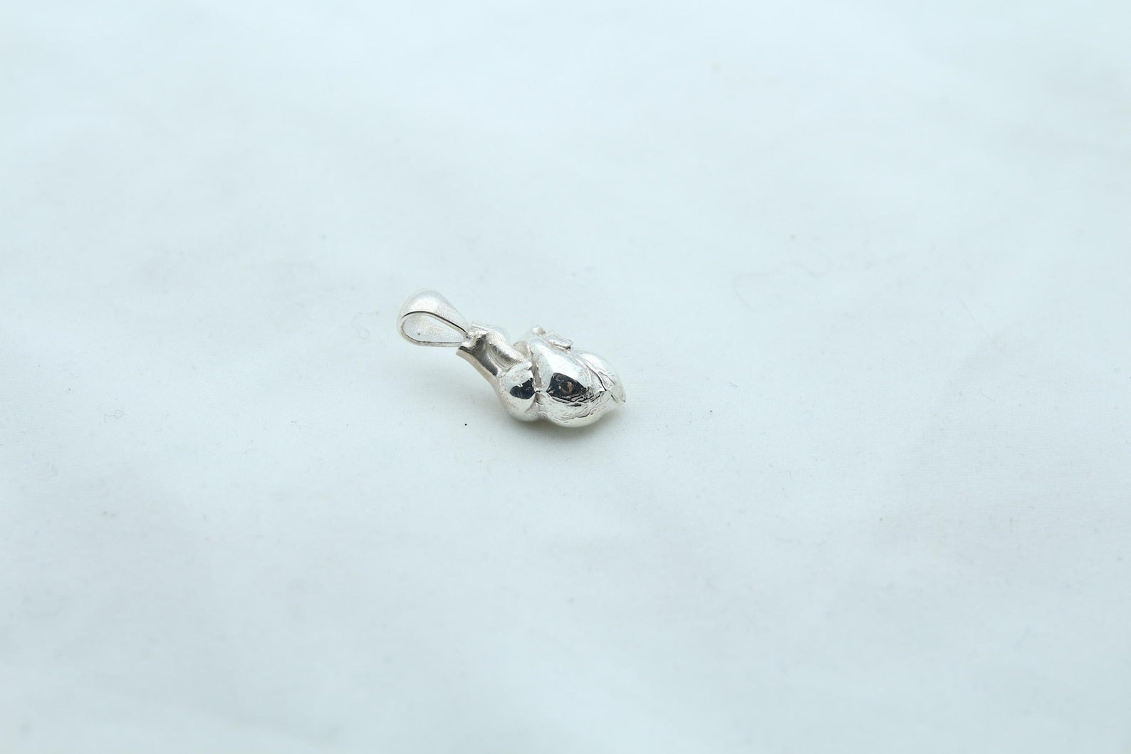 Anatomic Heart Memorial Urn Necklace – 925 Sterling Silver Anatomical Ash Pendant with (15 mm)