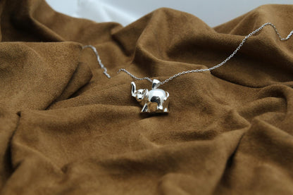 Elephant Soul Memorial Urn Necklace – 925 Sterling Silver Ash Pendant with Optional Engraving (20 mm)