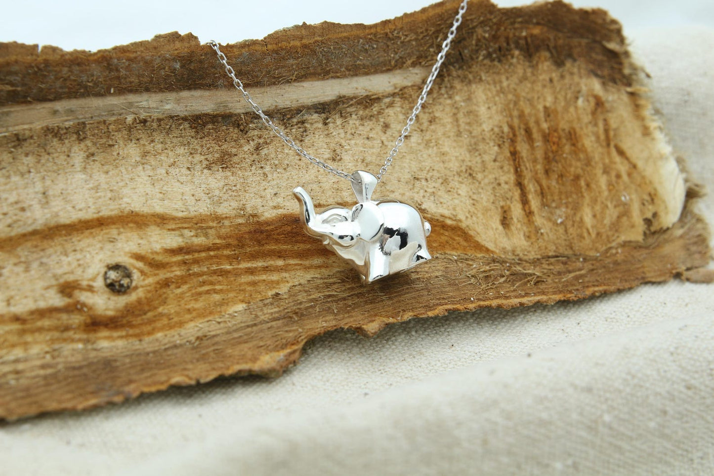 Elephant Soul Memorial Urn Necklace – 925 Sterling Silver Ash Pendant with Optional Engraving (20 mm)