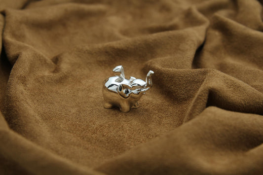 Elephant Soul Memorial Urn Necklace – 925 Sterling Silver Ash Pendant with Optional Engraving (20 mm)