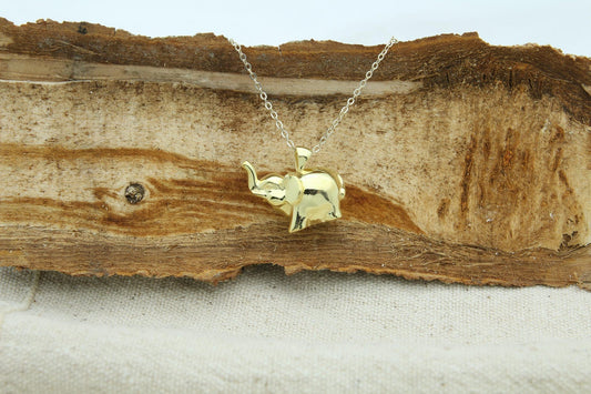 Gentle Elephant Tribute Urn Necklace – 925 Sterling Silver Memorial Ash Pendant with Optional Engraving (20 mm)