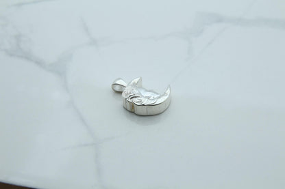 Moon Woman Silhouette Urn Necklace – 925 Sterling Silver Memorial Ash Pendant (16.5 mm)