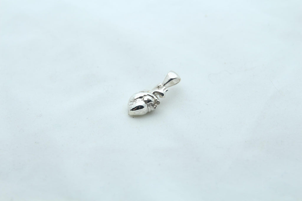 Anatomic Heart Memorial Urn Necklace – 925 Sterling Silver Anatomical Ash Pendant with (15 mm)