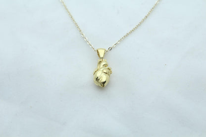 Eternal Pulse Urn Necklace – 925 Sterling Silver Anatomical Heart Ash Pendant with  (15 mm)