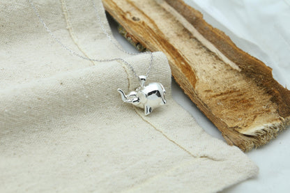 Elephant Soul Memorial Urn Necklace – 925 Sterling Silver Ash Pendant with Optional Engraving (20 mm)