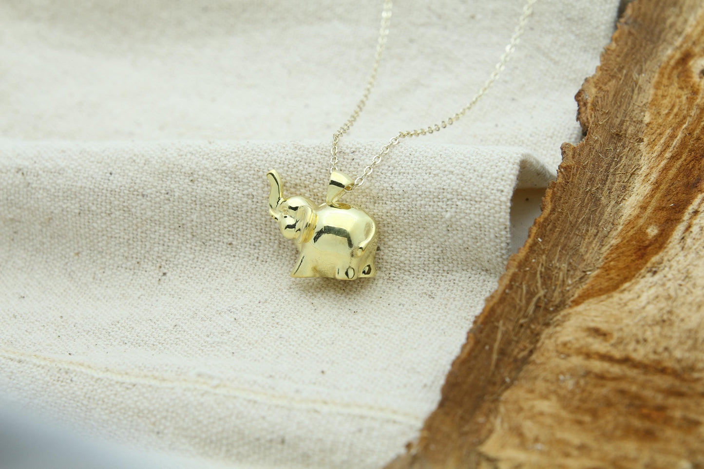 Gentle Elephant Tribute Urn Necklace – 925 Sterling Silver Memorial Ash Pendant with Optional Engraving (20 mm)