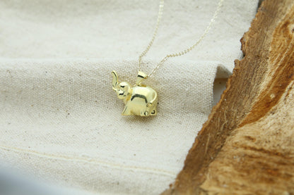 Gentle Elephant Tribute Urn Necklace – 925 Sterling Silver Memorial Ash Pendant with Optional Engraving (20 mm)