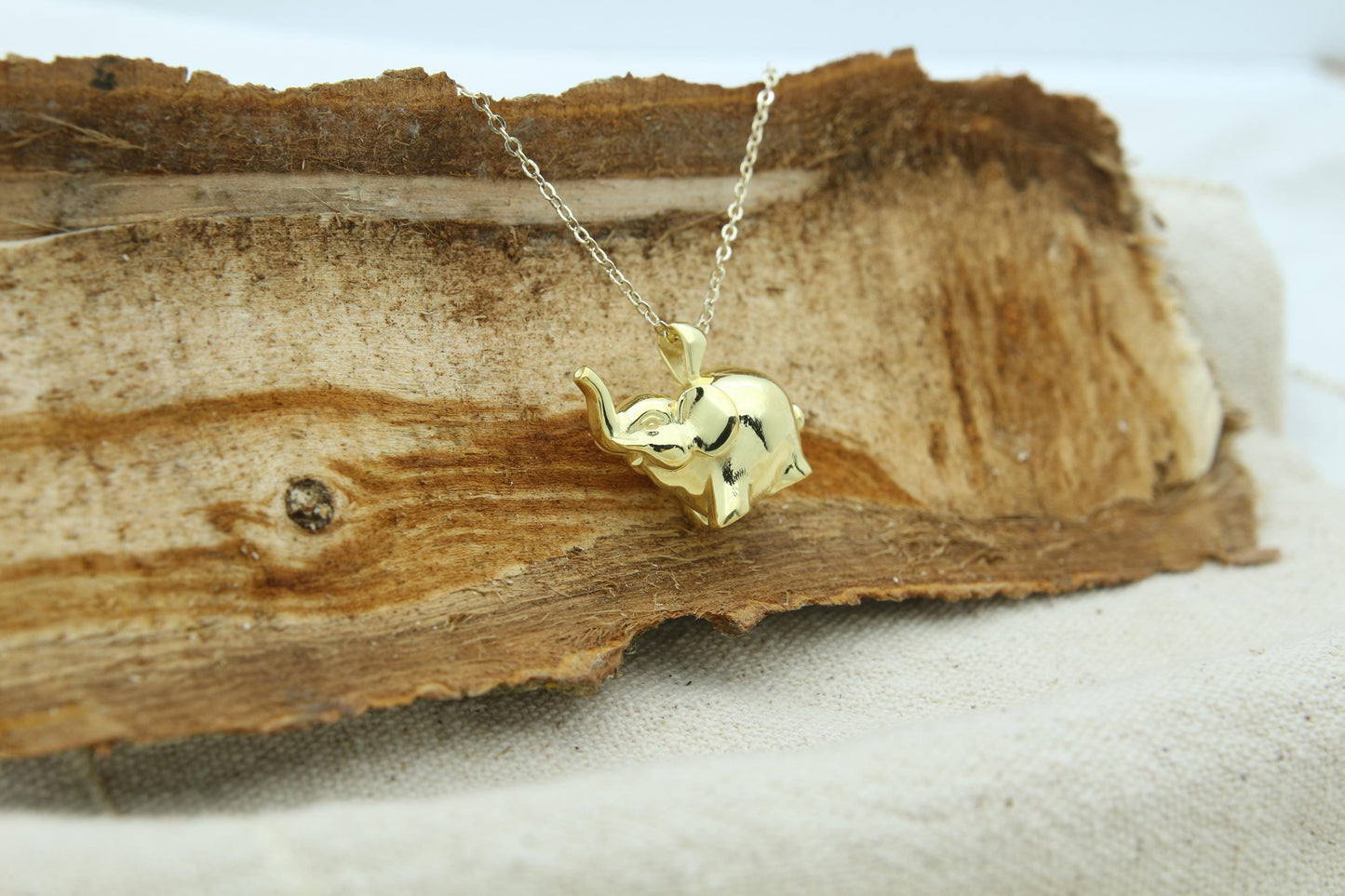 Gentle Elephant Tribute Urn Necklace – 925 Sterling Silver Memorial Ash Pendant with Optional Engraving (20 mm)