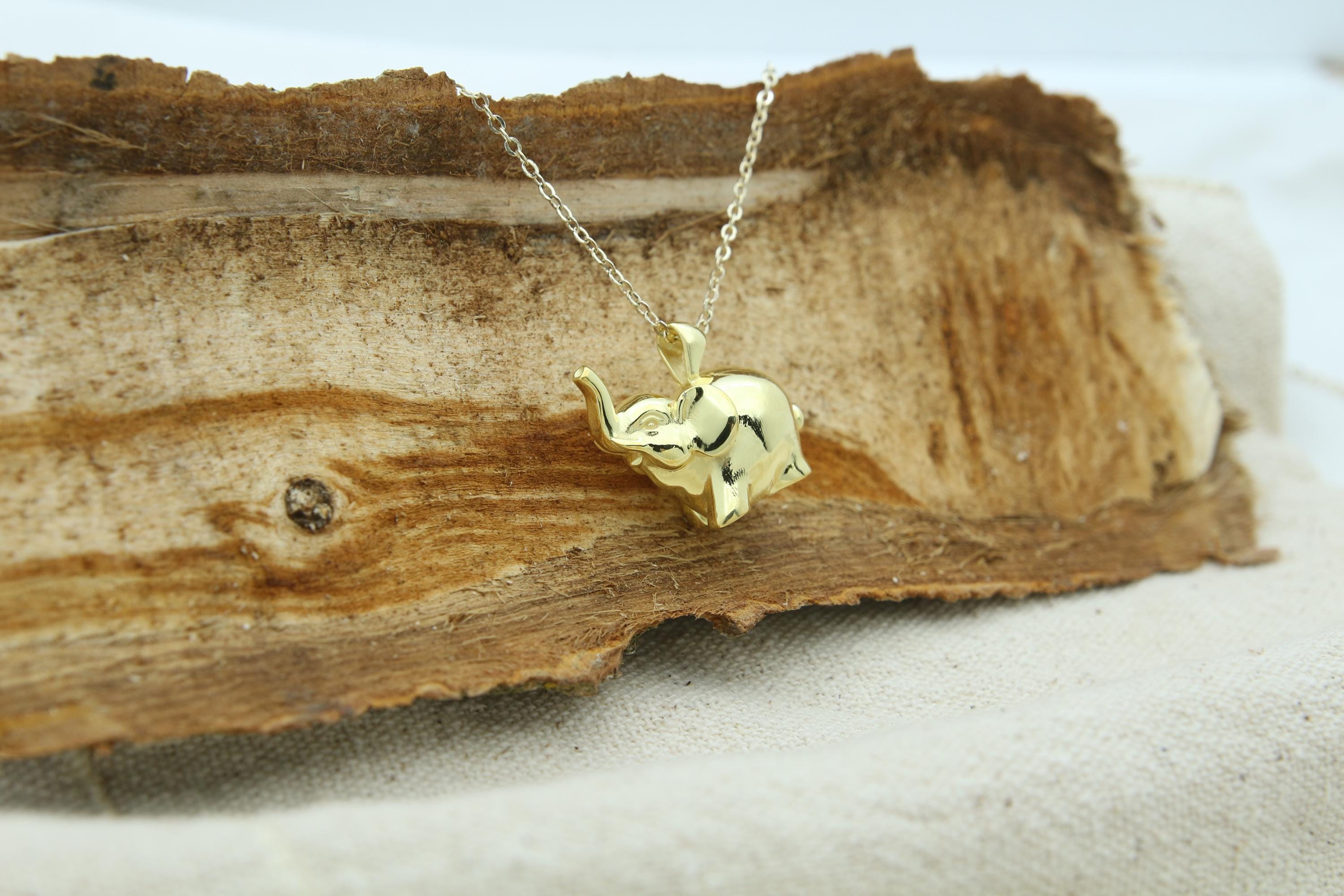 Gentle Elephant Tribute Urn Necklace – 925 Sterling Silver Memorial Ash Pendant with Optional Engraving (20 mm)