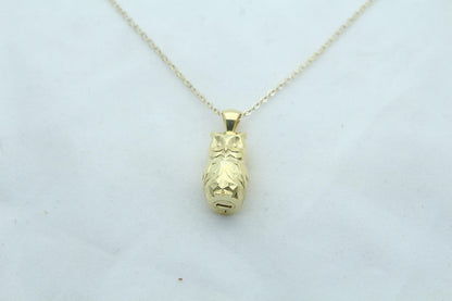 Night Guardian Owl Urn Necklace – 925 Sterling Silver Ash Pendant with Optional Engraving (17 mm)