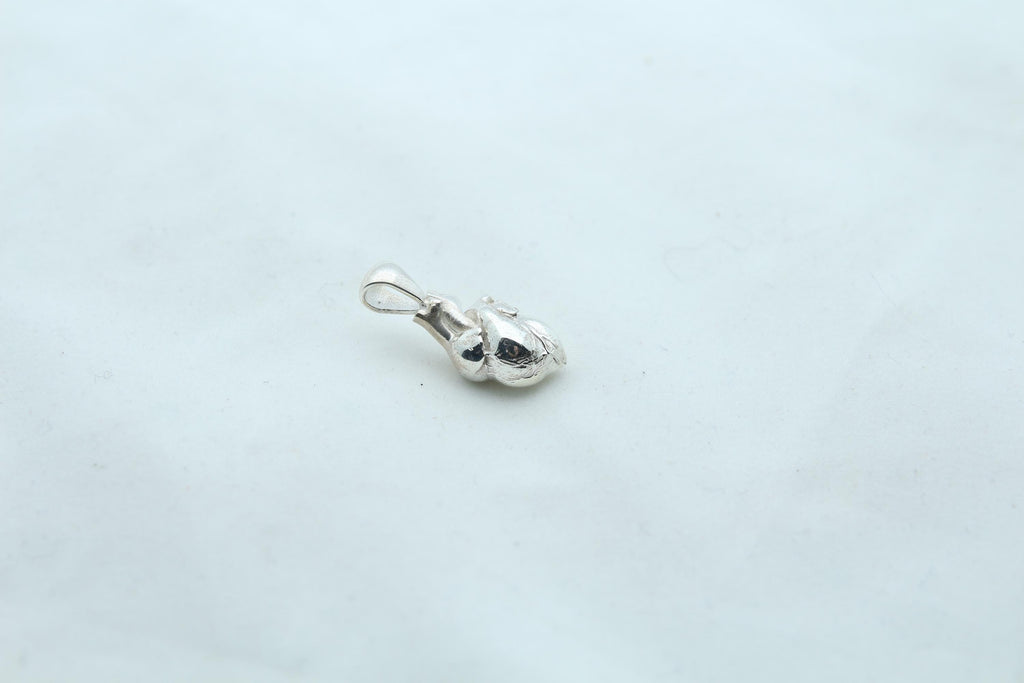 Anatomic Heart Memorial Urn Necklace – 925 Sterling Silver Anatomical Ash Pendant with (15 mm)