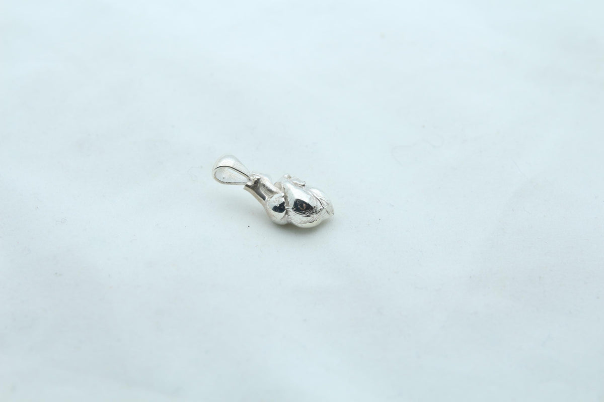 Anatomic Heart Memorial Urn Necklace – 925 Sterling Silver Anatomical Ash Pendant with (15 mm)