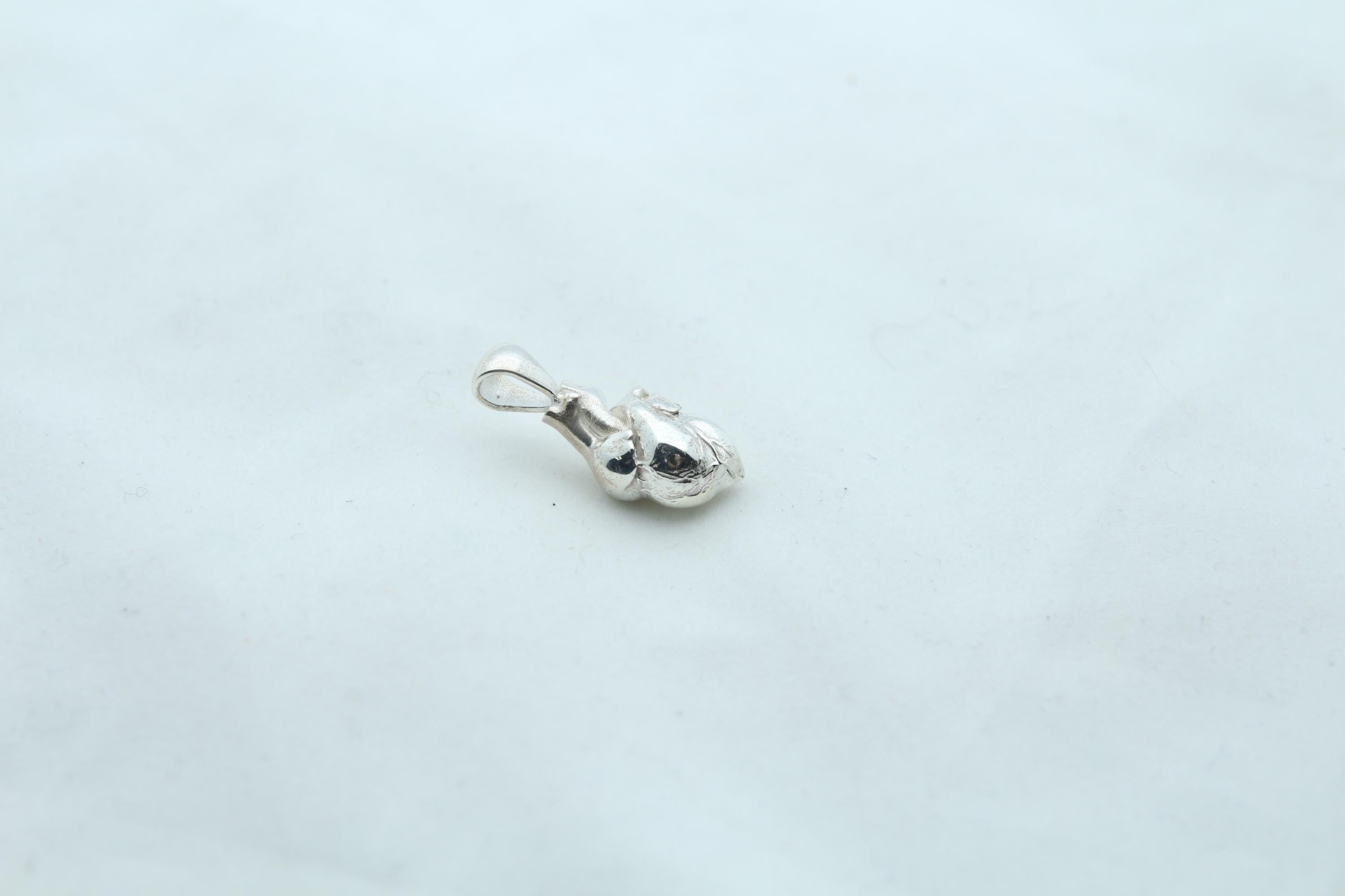 Anatomic Heart Memorial Urn Necklace – 925 Sterling Silver Anatomical Ash Pendant with (15 mm)