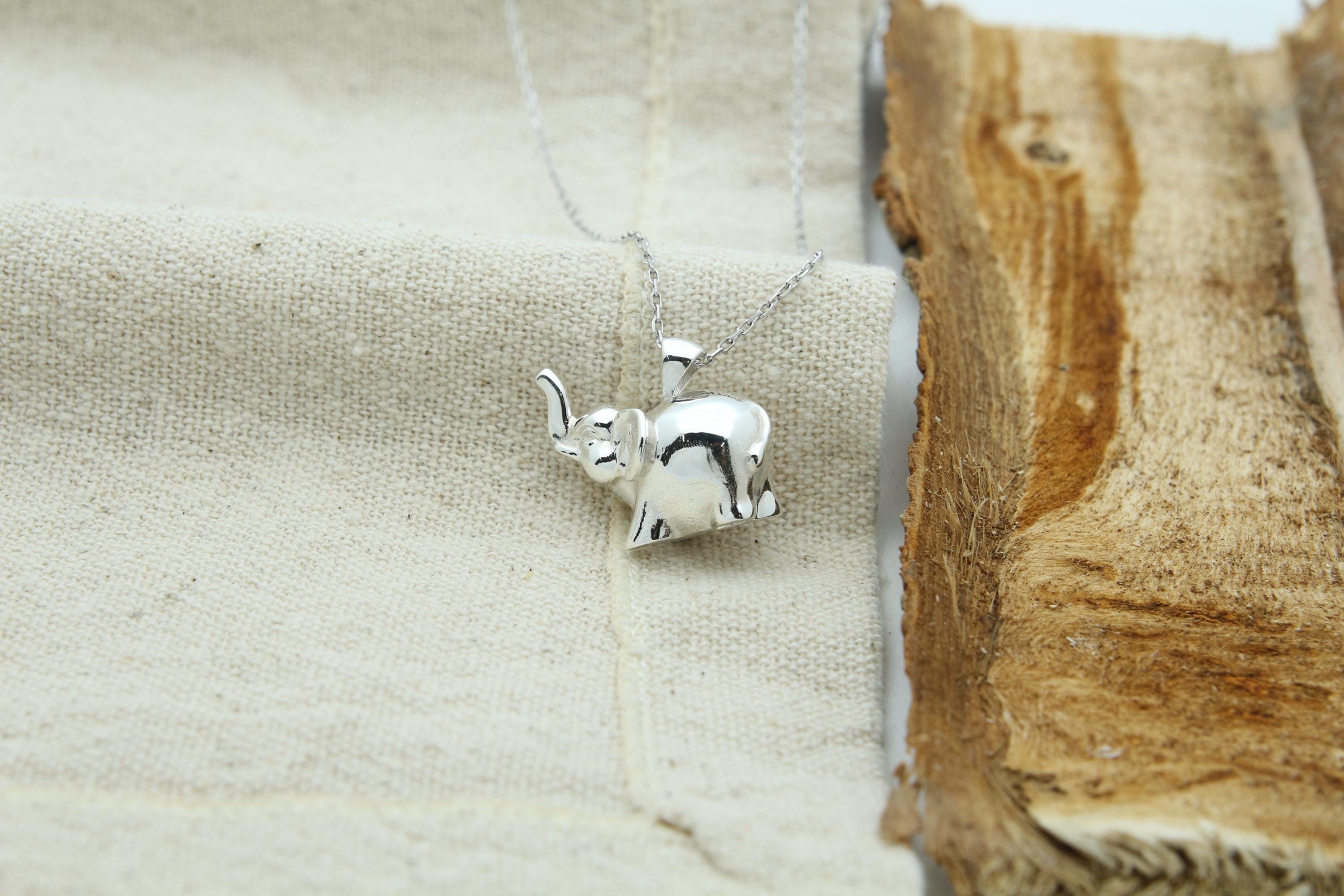 Elephant Soul Memorial Urn Necklace – 925 Sterling Silver Ash Pendant with Optional Engraving (20 mm)